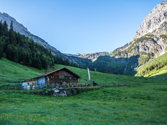 Gemstel Schönesbodenalpe