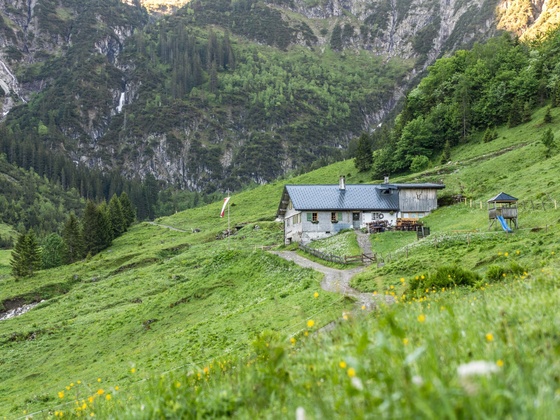 Auf dem Weg zur Bernhards Gemstelalpe