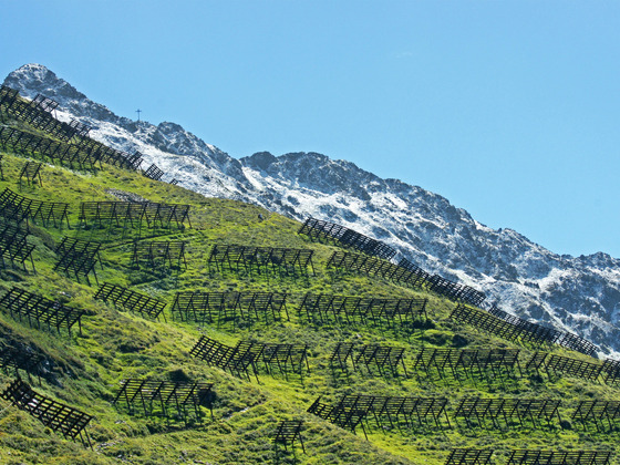 Im Hintergrund Neuschnee auf dem 2396m hohen Kreuzjoch