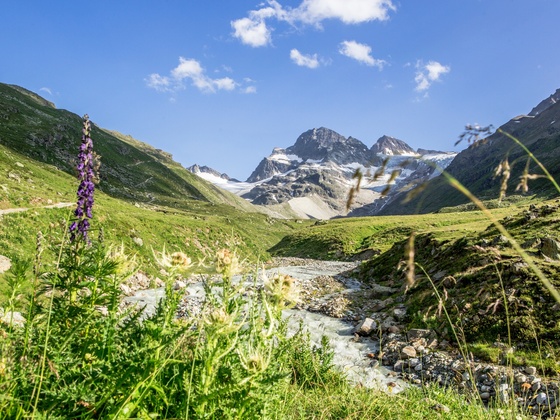 Wanderweg zur Wiesbadener Hütte