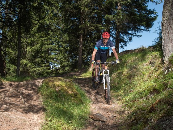 Holzalmtrail