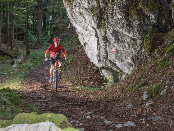 Uphilltrail 358 Holzknecht