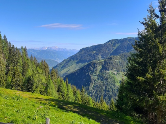 Ausblick auf den Zeller See
