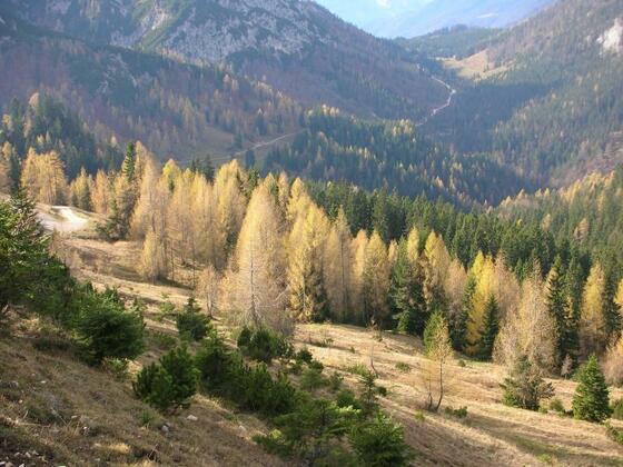Herbststimmung