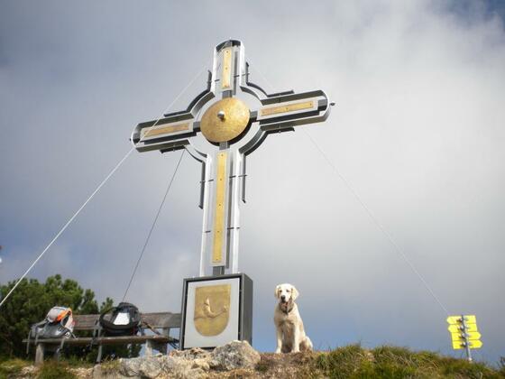 Gipfelkreuz am Plessenberg
