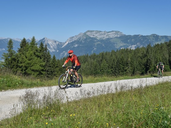 Holzalm-Trail_359_35©Alpbachtal Seenland Tourismus