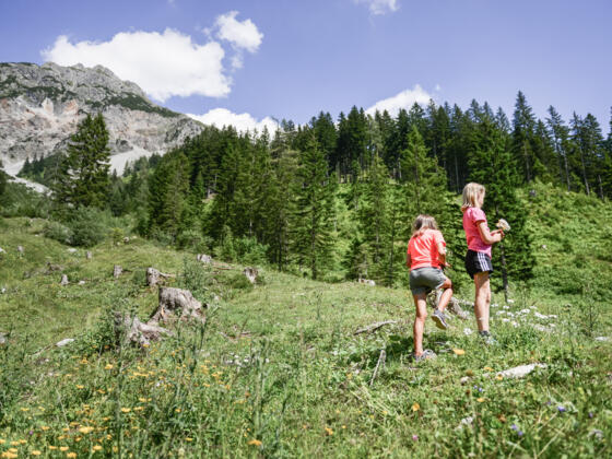 Wandern