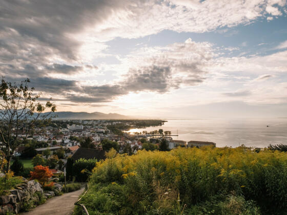 Blick auf den Bodensee (c) Nina Bröll / Vorarlberg Tourismus