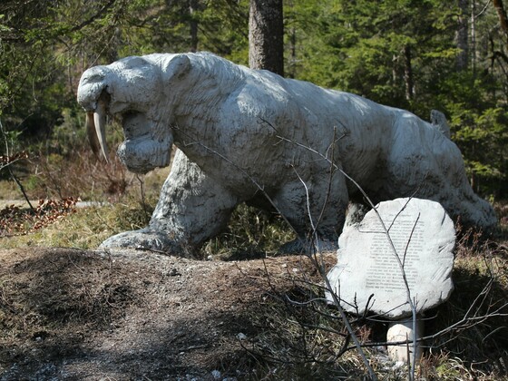 Säbelzahntiger am Erlebnisweg Steinzeit