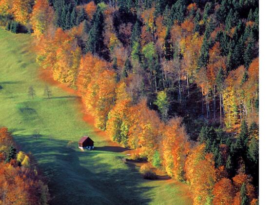 Herbstlandschaft bei Braz