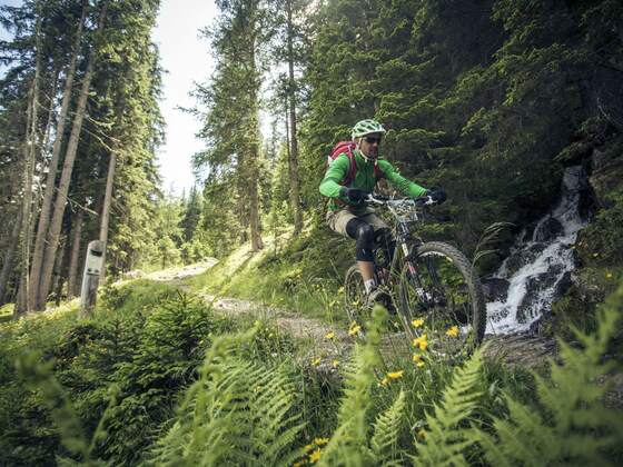 Trailabfahrt