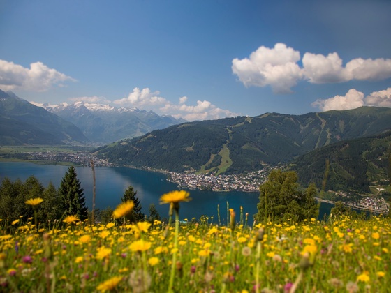 Mitterberg_Blumenwiese