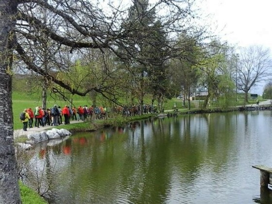 Am Zeller See