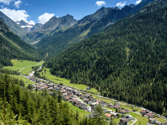 Gries im Sommer
