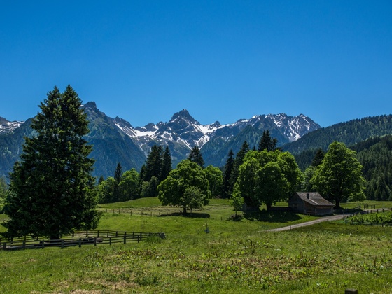 Ronaalpgebiet mit Blick zur Zimba