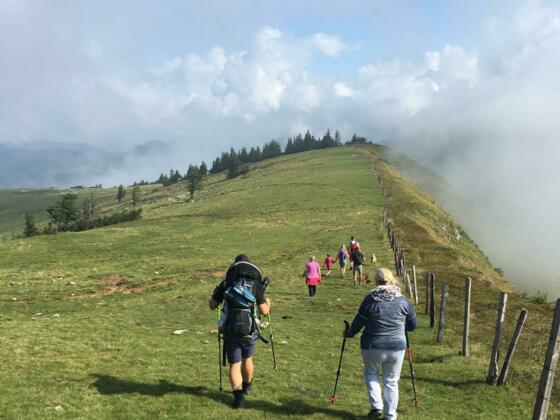Wanderweg zum Hintertrattberg