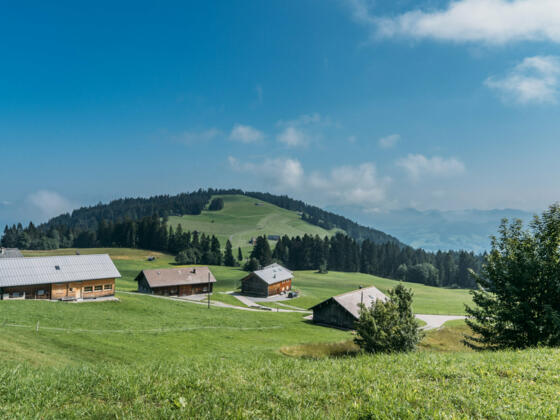 Bödele (c) packyourthingsandtravel / Vorarlberg Tourismus