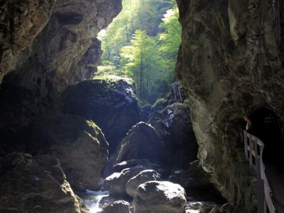 Rappenlochschlucht