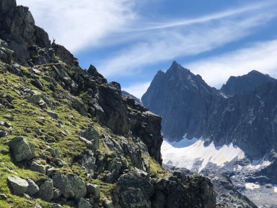 Aufstieg Tällispitz mit Steinbock