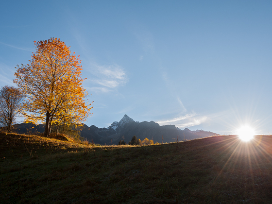Sautens