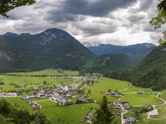 Schöne Aussicht - Blick auf St. Martin
