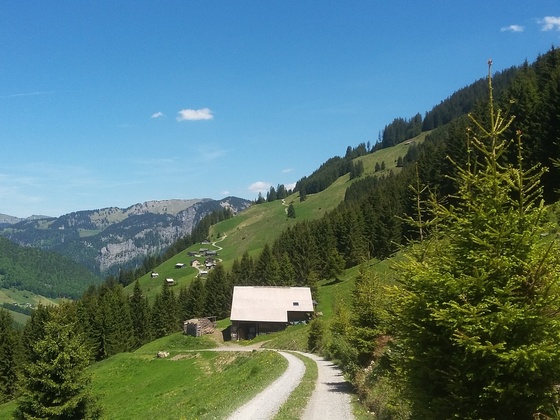 Laternser Argenalpe