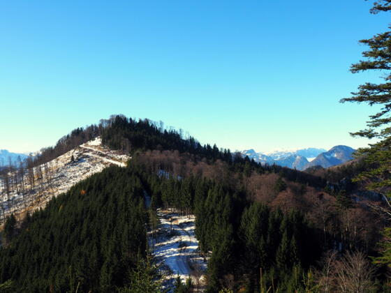 Gamsenbrand 1246m vom Mittagstein