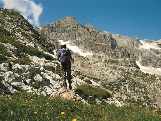 Braunarlspitze