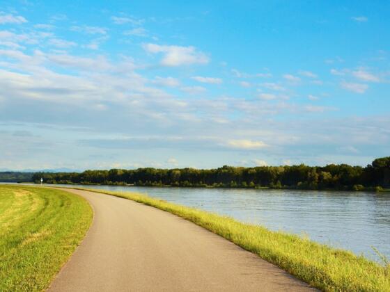 Danube Cycle Path near Mitterkirchen