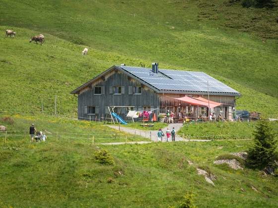 Alpe Oberdamüls