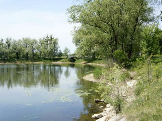 Fischteich