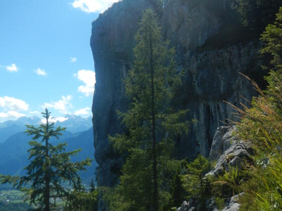 Ausblick auf den Gipfel des Predigstuhls