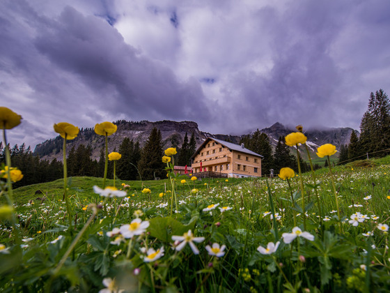 Berggasthaus Edelweiß