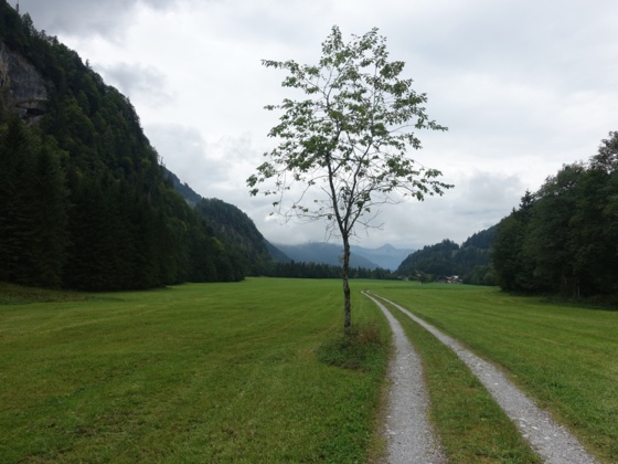The Kaiserbachtal