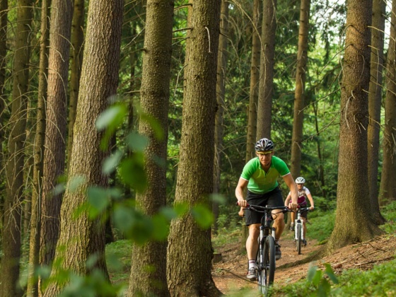 Mountainbiken Waldviertel