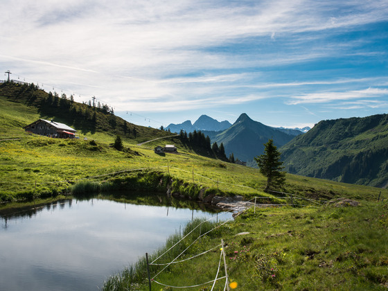 Alpe Oberdamüls