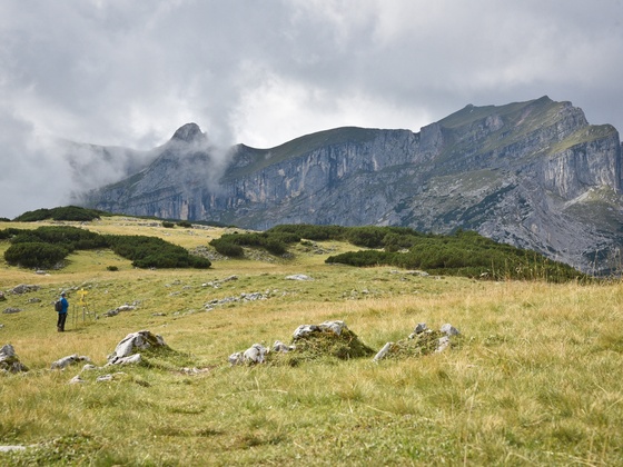 Roßwies - Blick auf den Sagzahn und die Rofanspitze