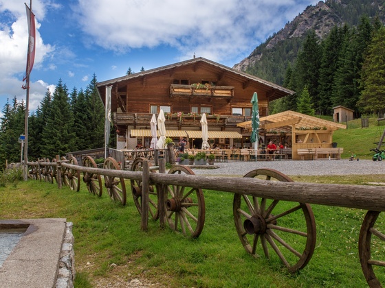 Vilser Alm