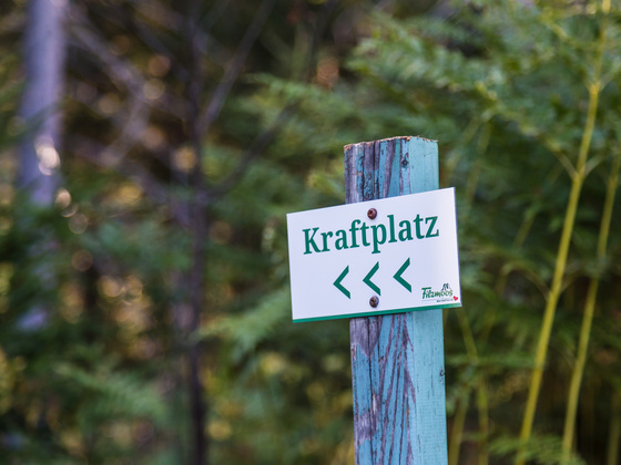 Reinigungsplatz im Hachauer Wald (Kraftplatz 16)