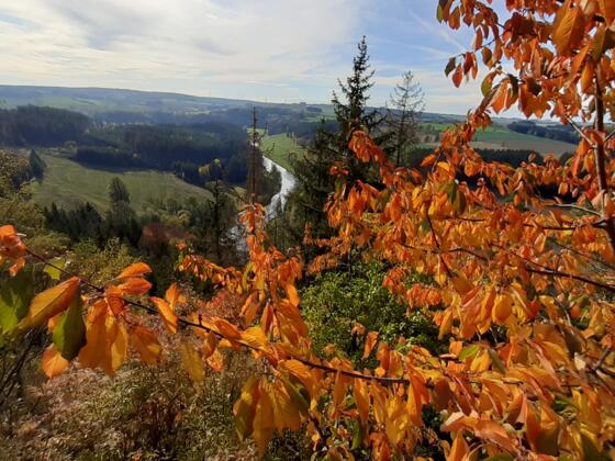 Blick vom Petersgrat im Herbst