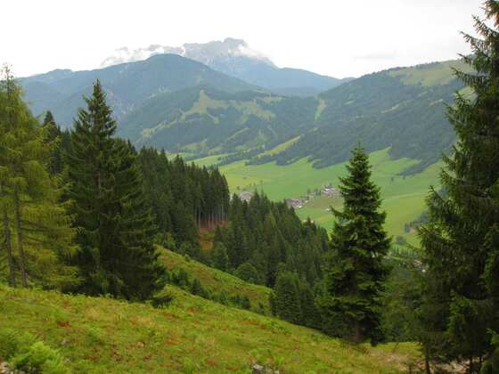 Unterwegs am St. Jakober Höhenweg 1