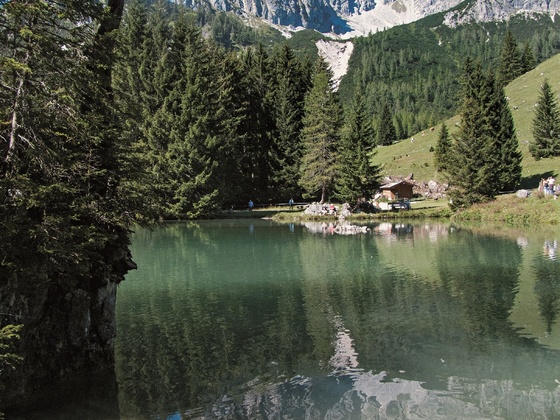 Almsee