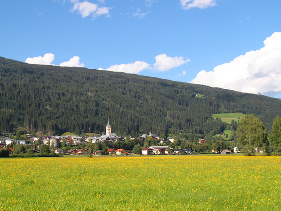 Blick auf Radstadt