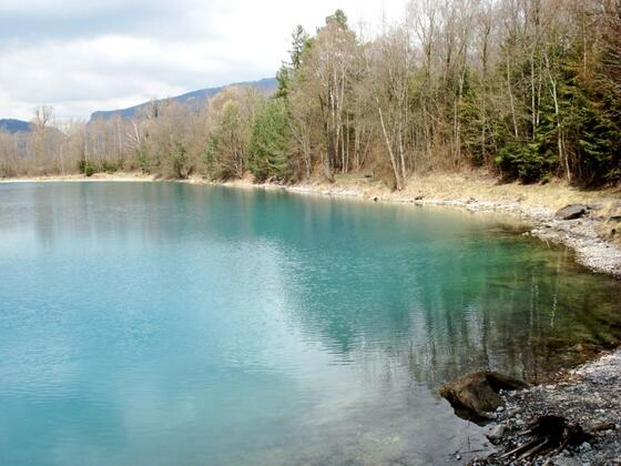Galinasee