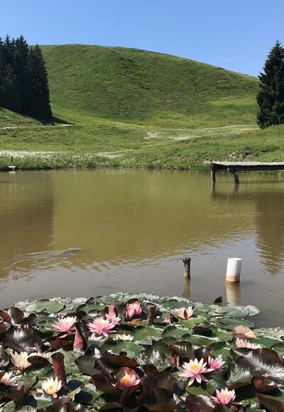 Pass this small picturesque lake