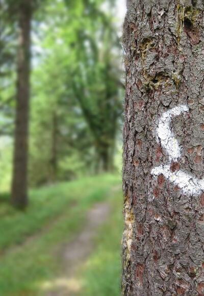 The distinctive Lechweg Trail markings
