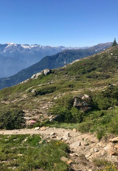 Panoramaweg am Venet