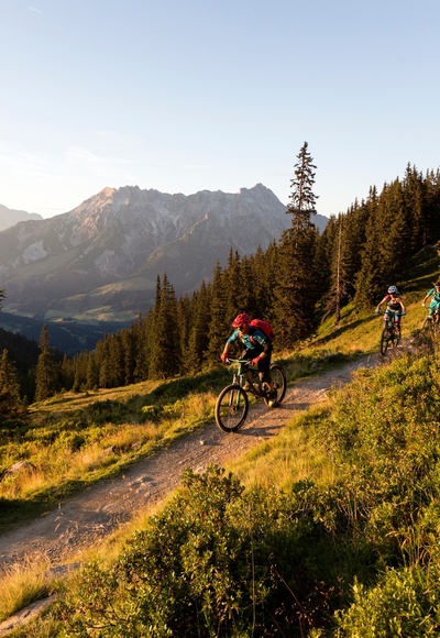 Schönleiten Trail