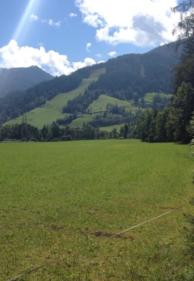 Panoramaweg 100 bei Gleiming