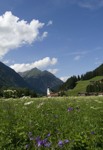 Blumenwiese in Bach